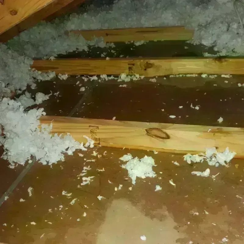 Attic Water Damage in Young Harris, GA