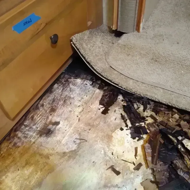 Wood Floor Water Damage in Young Harris, GA